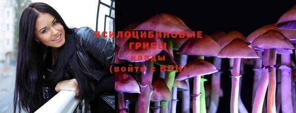 spice Белокуриха
