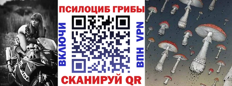 Купить  Данков  Галлюциногенные грибы Cubensis 