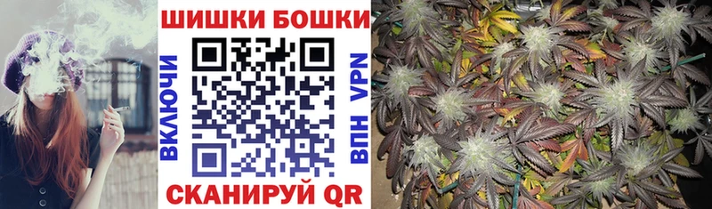 Бошки Шишки семена  Купить  Данков 